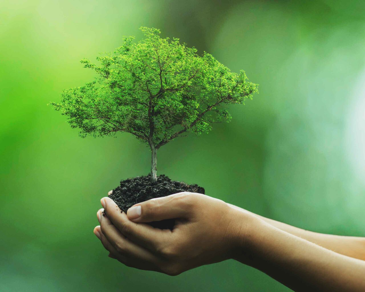BIOGAS: A RENEWABLE ECO-FRIENDLY ENERGY? - SIL IMPIANTI INDUSTRIALI